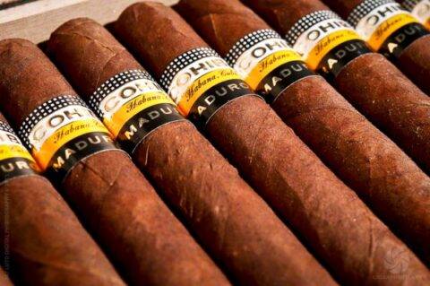 高希霸天才雪茄(科伊巴馬杜羅系列) | Cohiba maduro 5 genios | 香港雪茄專賣店推介 | 線上網購