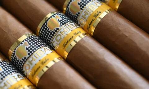 高希霸世紀6號雪茄 | Cohiba Siglo VI | 香港雪茄專賣店推介 | 線上網購