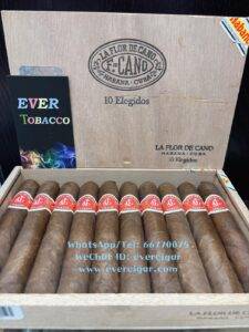 拉弗洛爾德卡諾精選雪茄 | La Flor De Cano Elegidos Cigar | 香港雪茄專賣店推介